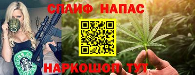 индика Тверь